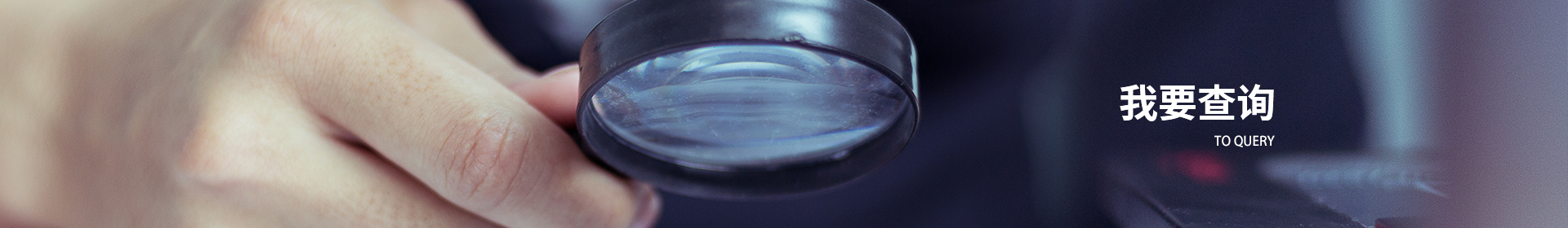 我要查询