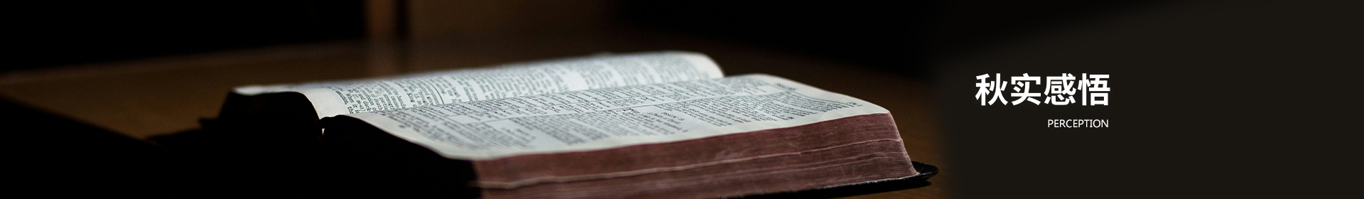 秋实感悟